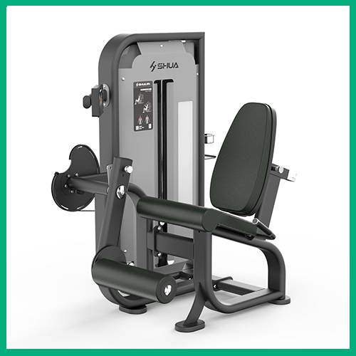 室内健身器材-踢腿训练器SH-G6810T 室内健身器材-踢腿训练器SH-G6810T