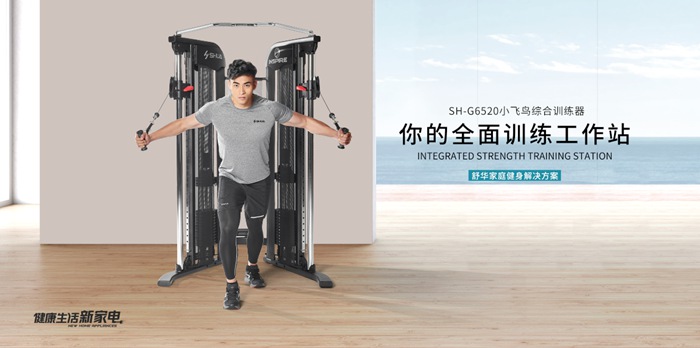 333健身器材-小飞鸟综合训练器SH-G6520 333健身器材-小飞鸟综合训练器SH-G6520