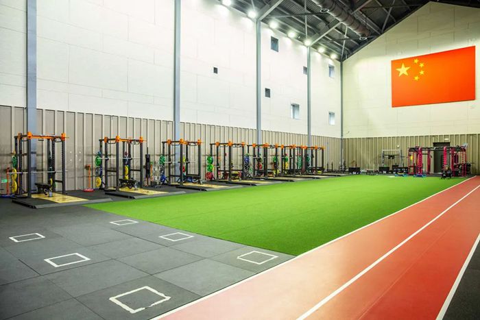 体能训练解决方案-广西333体育 体能训练解决方案-广西333体育